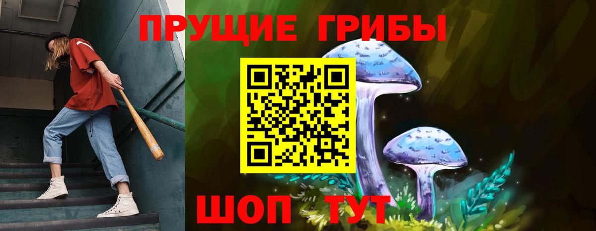 Галлюциногенные грибы Psilocybe Жуковский
