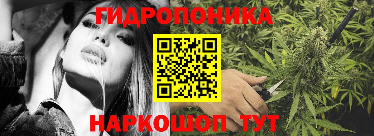 Бошки марихуана марихуана Жуковский